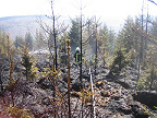 waldbrand_cz